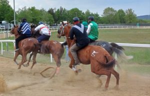 Corse di addestramento a Monticiano - La gallery