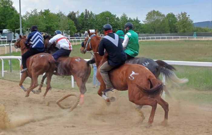 Corse di addestramento a Monticiano - La gallery
