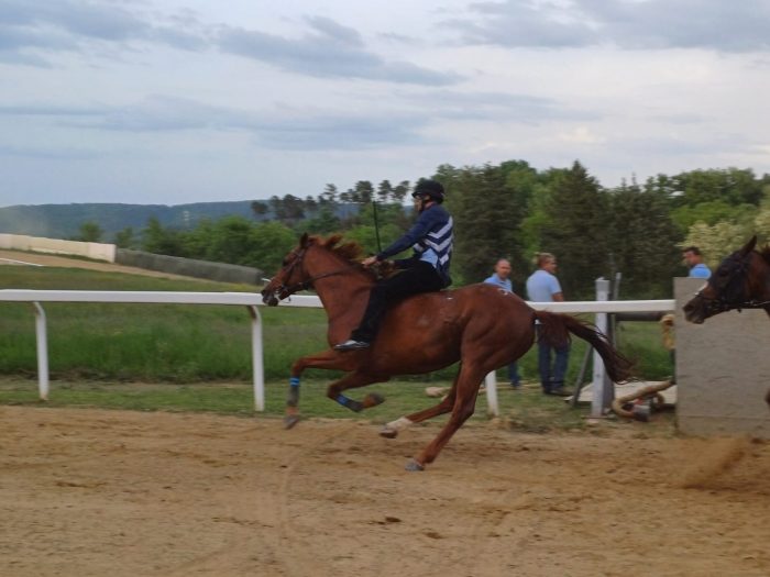 Maltempo, annullate le corse di addestramento a Monticiano