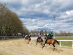 Cavalli da Palio: al via le corse di addestramento a Monticiano