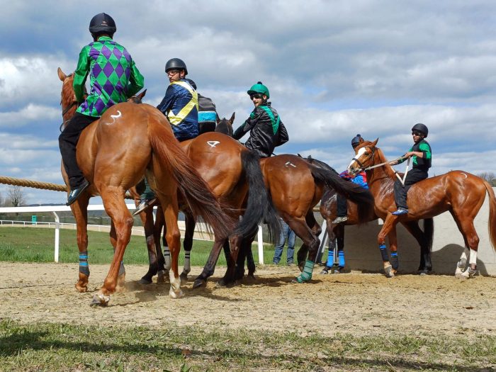 Corse addestramento Monticiano, in onda stasera alle 22.45 su Siena Tv