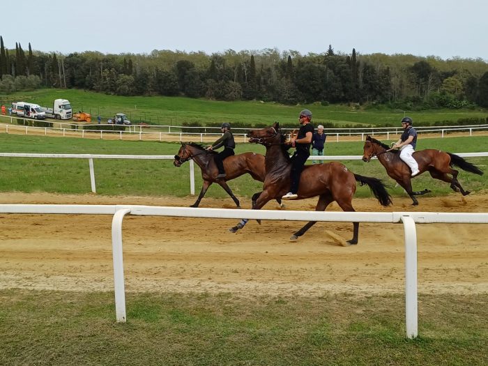 Maltempo, annullati i lavori di addestramento a Mociano