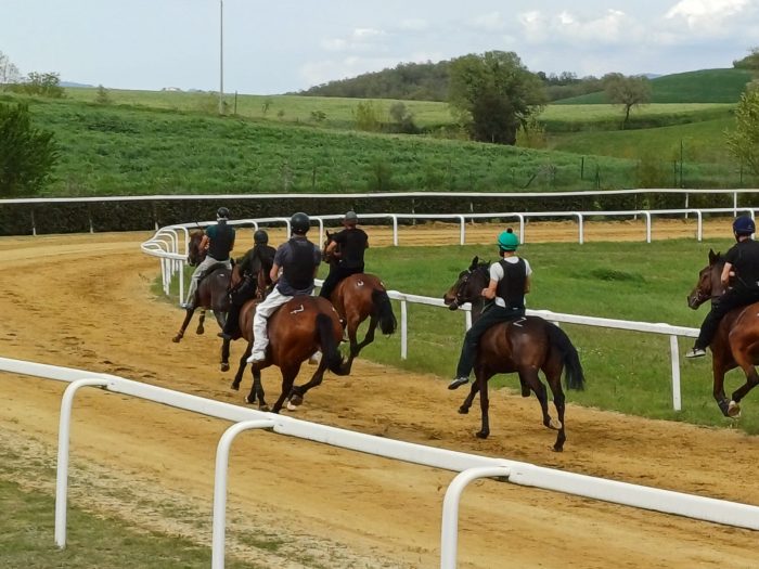 Palio di Siena, domani si torna a correre a Mociano