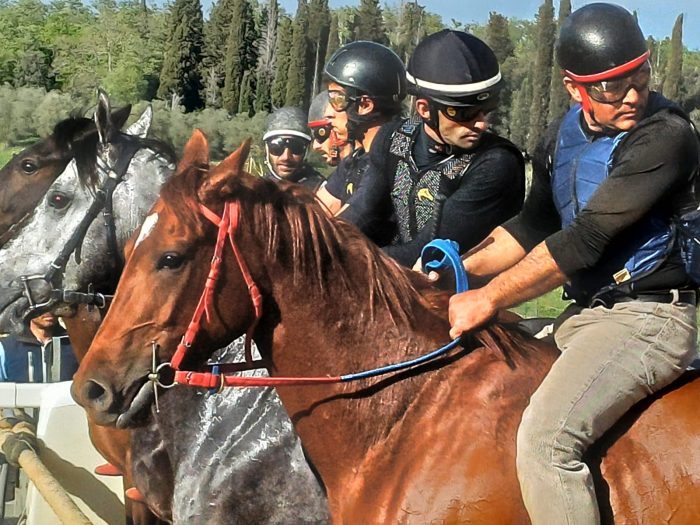 Corse di addestramento a Mociano - La gallery