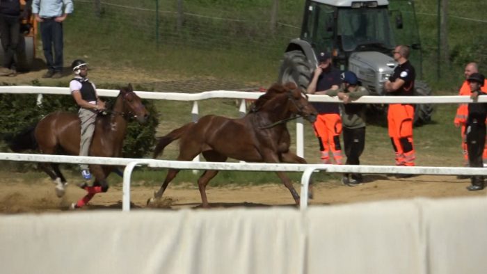 Addestramento a Mociano: Ares Elce d&agrave; spettacolo da scosso