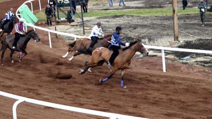 Piancastagnaio: al via le iscrizioni per le corse dei cavalli del 1&deg; maggio