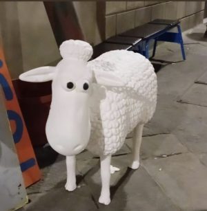 Siena, "rapita" la pecora della scenografia della commedia del Liceo Classico: l'appello degli studenti