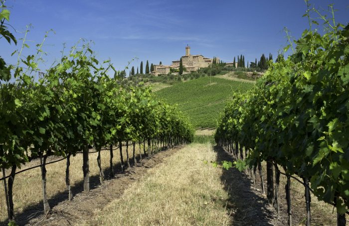 La Società Agricola Banfi di Montalcino sceglie il benessere di chi lavora