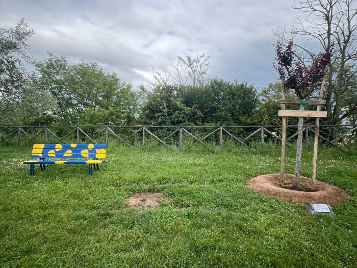 Siena, pensieri e ricordi per far crescere l'albero di Laerte