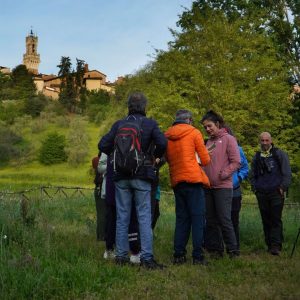 Siena ai primi posti in Italia nella City Nature Challenge