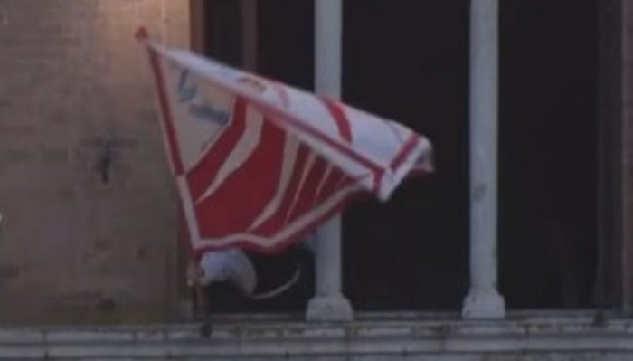 Giraffa, Guiggiani: "Mi batter&ograve; per avere nel lotto tutti i cavalli migliori"