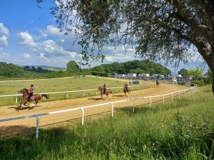 Palio di Siena, il nuovo programma dei lavori di addestramento a Mociano di oggi