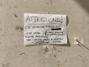 Siena, l'allarme dei cittadini a San Miniato: "Attenzione, esche avvelenate per i cani"