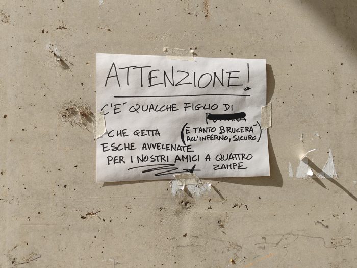 Siena, l'allarme dei cittadini a San Miniato: "Attenzione, esche avvelenate per i cani"