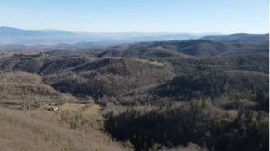 Tutela dei boschi, passeggiata a difesa della Montagnola Senese