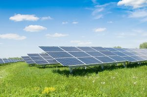 Coldiretti Toscana: "Stop a fotovoltaico a terra 'salva' attività agricola e pastorizia"