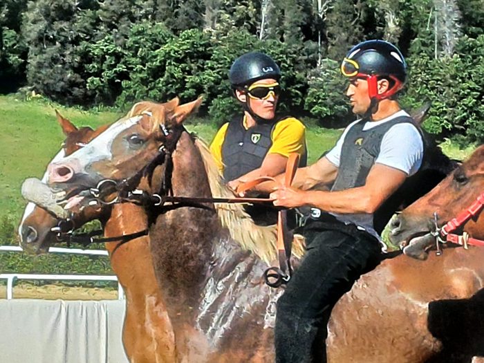 Palio, Rocco Betti : "Il cavallo giusto per Scompiglio? Io ho in mente quello adatto a lui&rdquo;