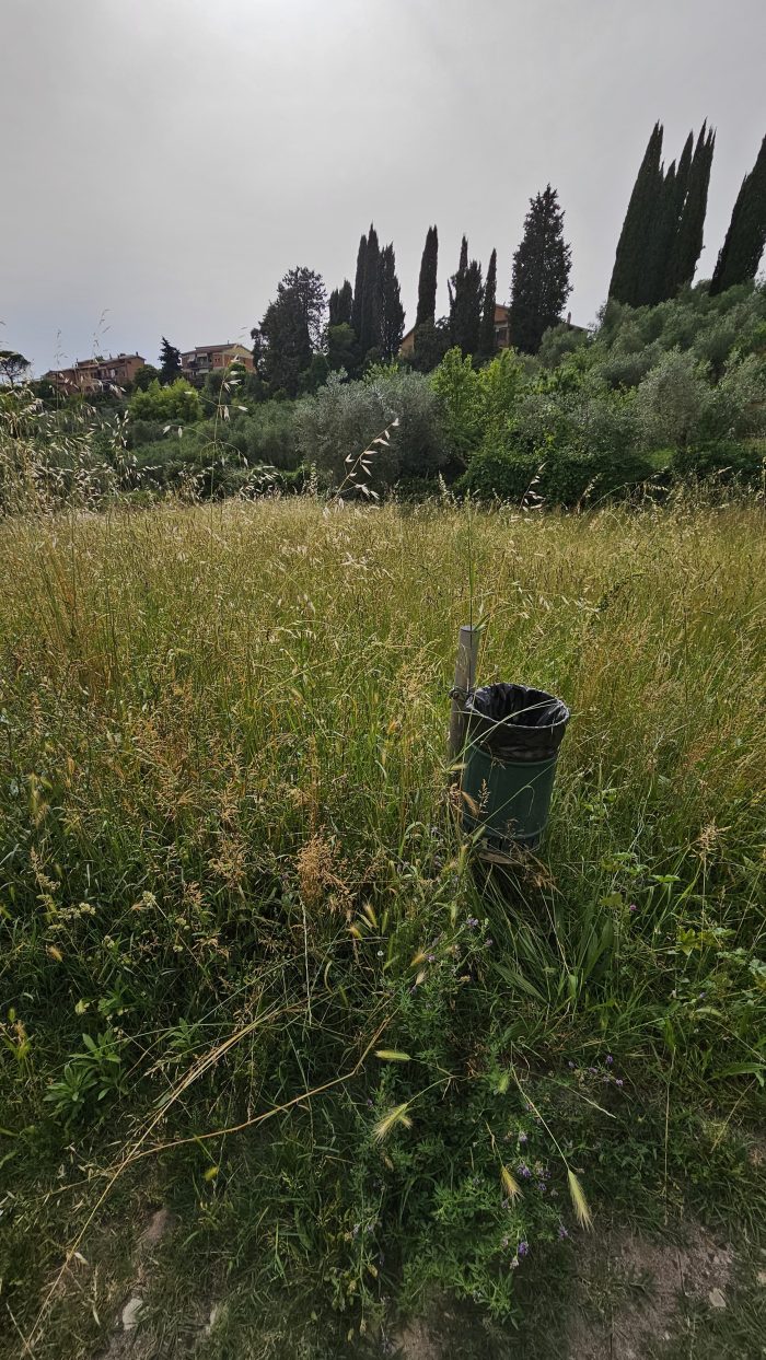 Siena: erba alta, il parco ai Cappuccini sembra una giungla