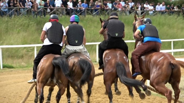 Palio di Siena, definiti i contributi per il Protocollo Equino 2025