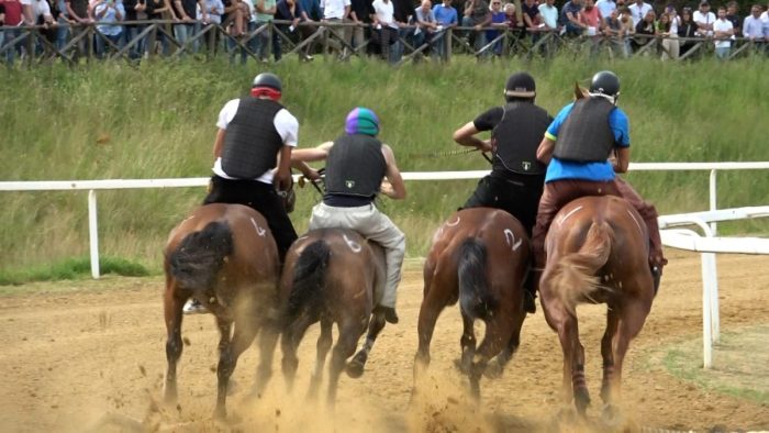 Palio, nuovo calendario dei lavori di addestramento per i cavalli