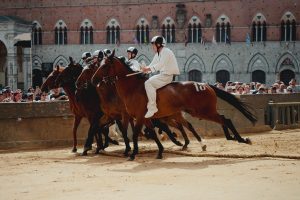 Palio di Siena 2 luglio, le batterie della Tratta - La gallery