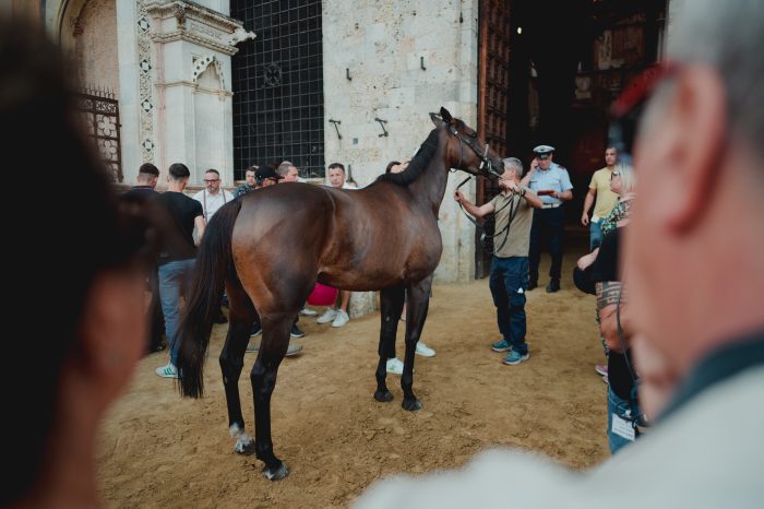 Palio dell'Assunta, ecco l&rsquo;ordinanza su preiscrizione a previsita, prove regolamentate e tratta