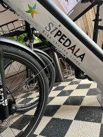 In bici a Siena, Angiolini: “Una striscia di asfalto a lato della carreggiata non è una pista ciclabile”
