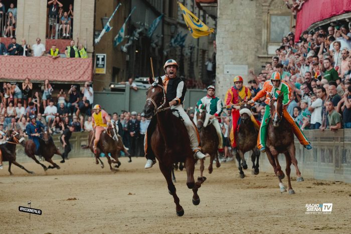 Palio di Siena, Velluto a Siena Tv: "Cavallo al top, dopo la prima prova ho capito che potevo fare bene"