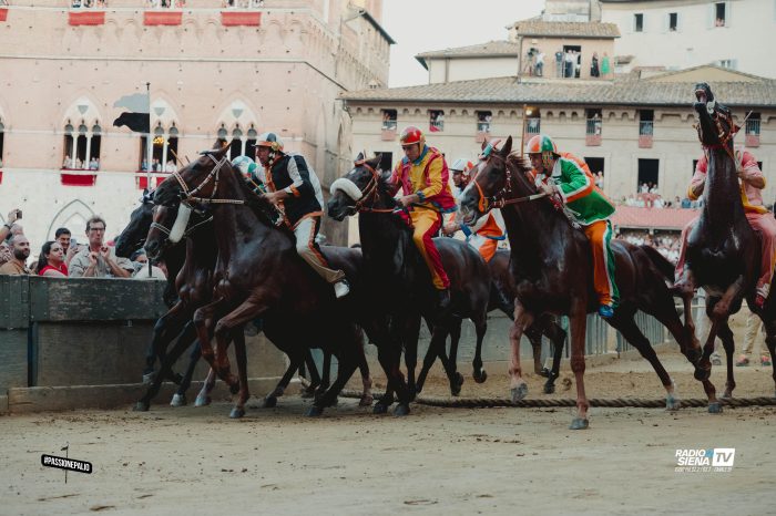 Palio di Siena, proficua riunione tra sindaco, capitani e veterinari: proposte molte novità
