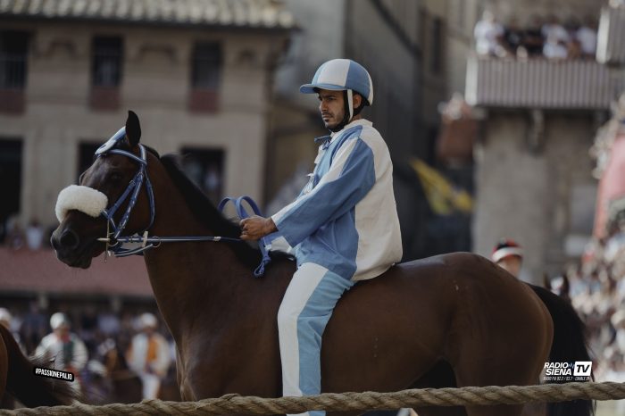 Palio di Siena, Grandine: "Pes non &egrave; una sorpresa. Ha vinto in tutti i Palii d'Italia, gli mancava solo quello di Siena"