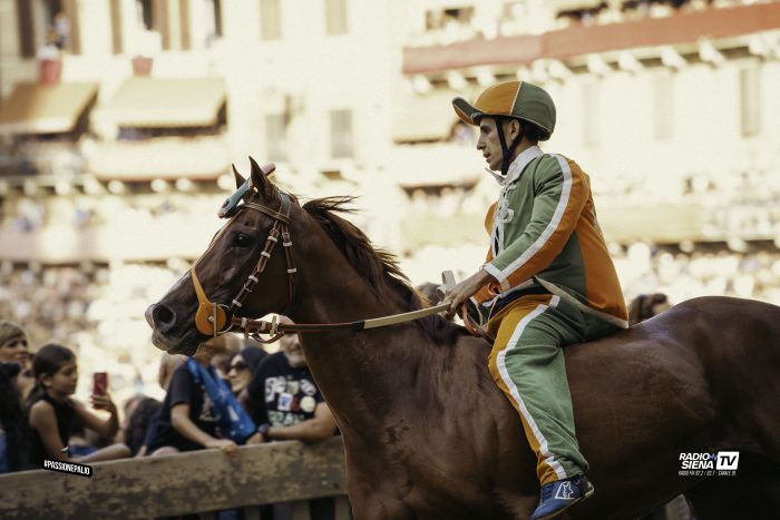 Palio di Siena 16 agosto: la Selva ha deciso, Andrea Sanna sar&agrave; Virgola