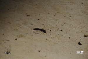 Palio 2 luglio 2025, le batterie della Tratta in tempo reale