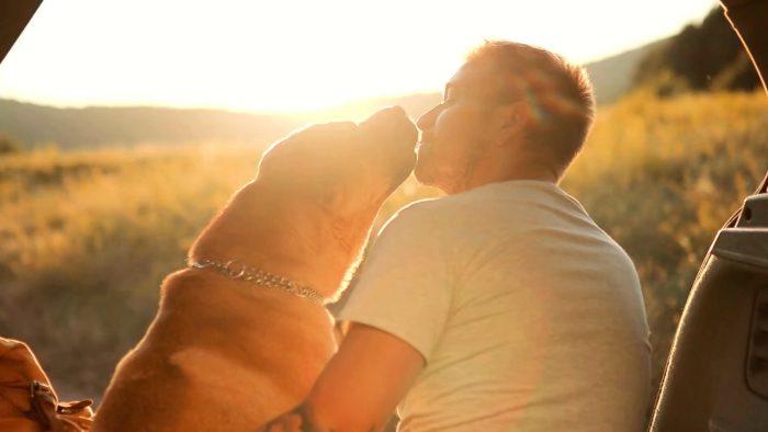 26 agosto, anche a Siena si festeggia la giornata internazionale del cane