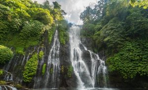 Muore mentre si scatta un selfie in vacanza a Bali. Sotto shock ma salva la compagna di Siena