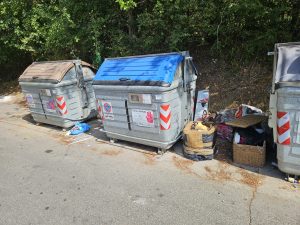 Siena, rifiuti di ogni genere abbandonati ai cassonetti in Strada di Busseto