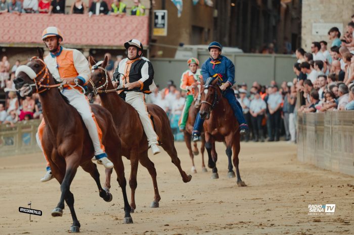 Palio di Siena, contrade in fermento tra conferme e volti nuovi