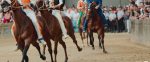 Palio di Siena, contrade in fermento tra conferme e volti nuovi