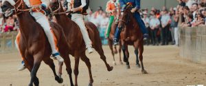 Palio di Siena, contrade in fermento tra conferme e volti nuovi