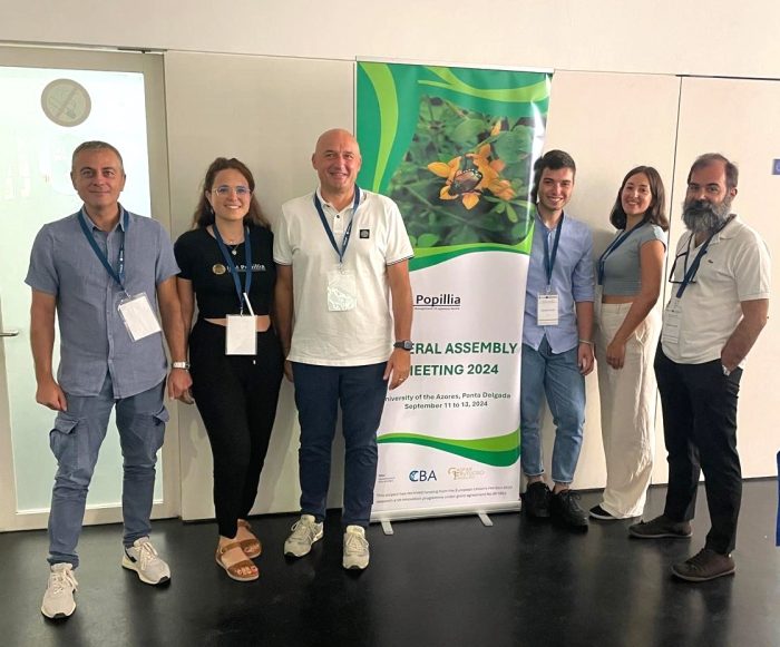 Coleottero giapponese, gruppo di ricerca Universit&agrave; di Siena alle Azzorre per studiare la genetica di questa specie invasiva.