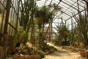 Siena, un laboratorio sulle valle verdi: al via la &ldquo;Winter School&rdquo; 2026