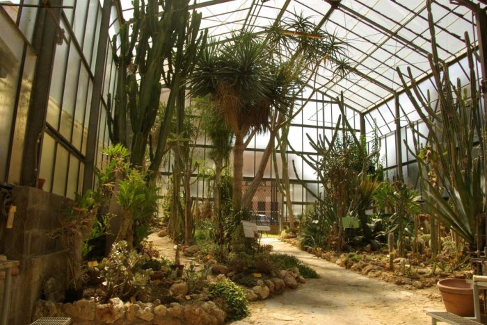 Siena, un laboratorio sulle valle verdi: al via la &ldquo;Winter School&rdquo; 2026