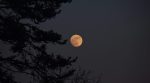 Sabato 19 settembre: Notte internazionale dell’osservazione della Luna con gli Astrofili Senesi