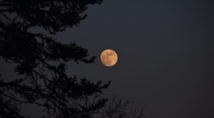 Sabato 19 settembre: Notte internazionale dell'osservazione della Luna con gli Astrofili Senesi