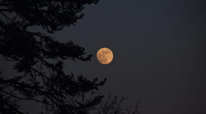 La notte della Luna: il 14 settembre a Siena e Montarrenti