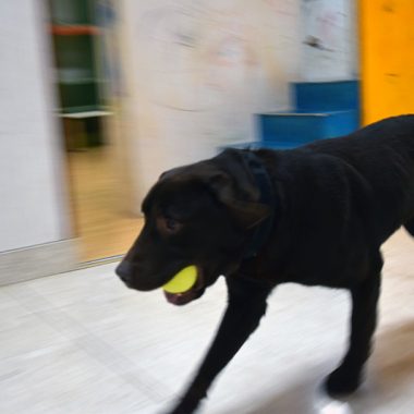 Befana_Gdf_AouSenese_9