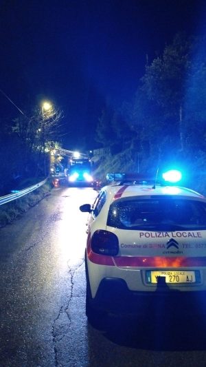 Cade pianta sulla carreggiata, chiusa al traffico strada del Linaiolo a Siena