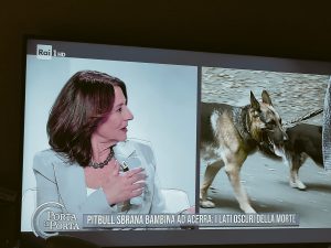 Cani aggressivi e attacchi mortali, Viola Carignani ospite a "Porta a Porta"