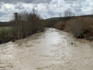 Maltempo, ingrossati i fiumi senesi: monitoraggio costante