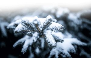 Il maltempo non molla la Toscana: codice giallo domani per pioggia, neve e vento
