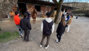 "Rapporto uomo-cavallo" il comune di Siena affianca l'Istituto Ricasoli mettendo a disposizione Pian delle Fornaci